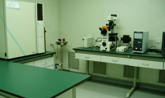 1608540862169778.png 225.png